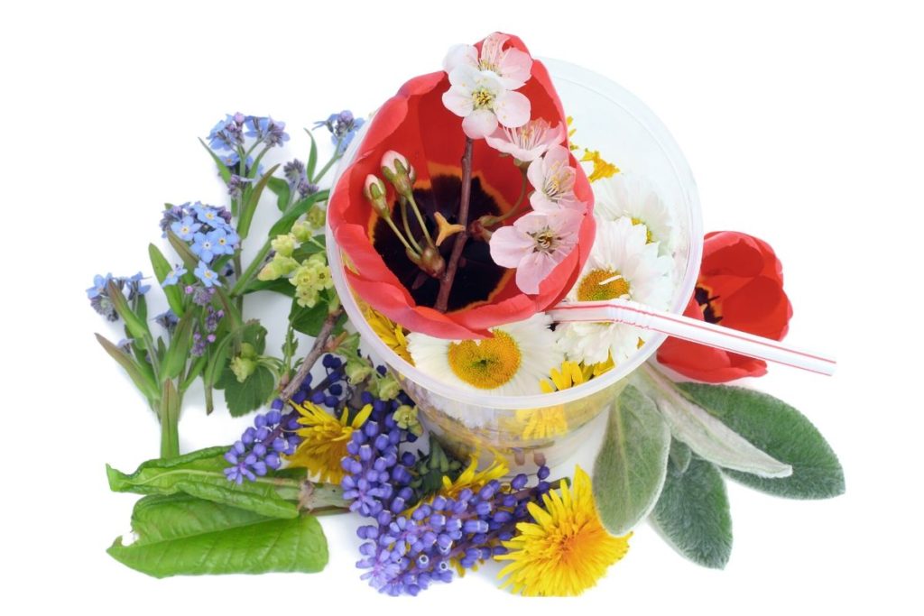 creative gardening ideas