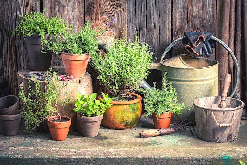 unique creative gardening ideas