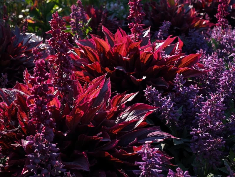 creative gardening ideas