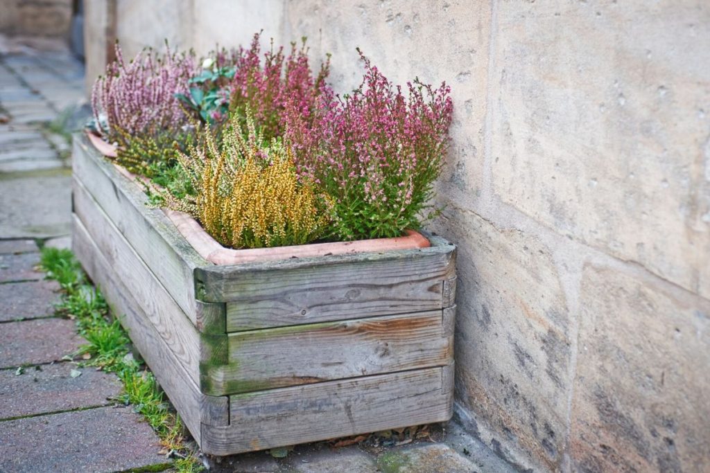 creative gardening ideas with planter boxes