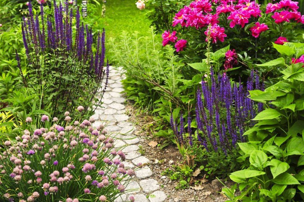 outdoor stone paths add style