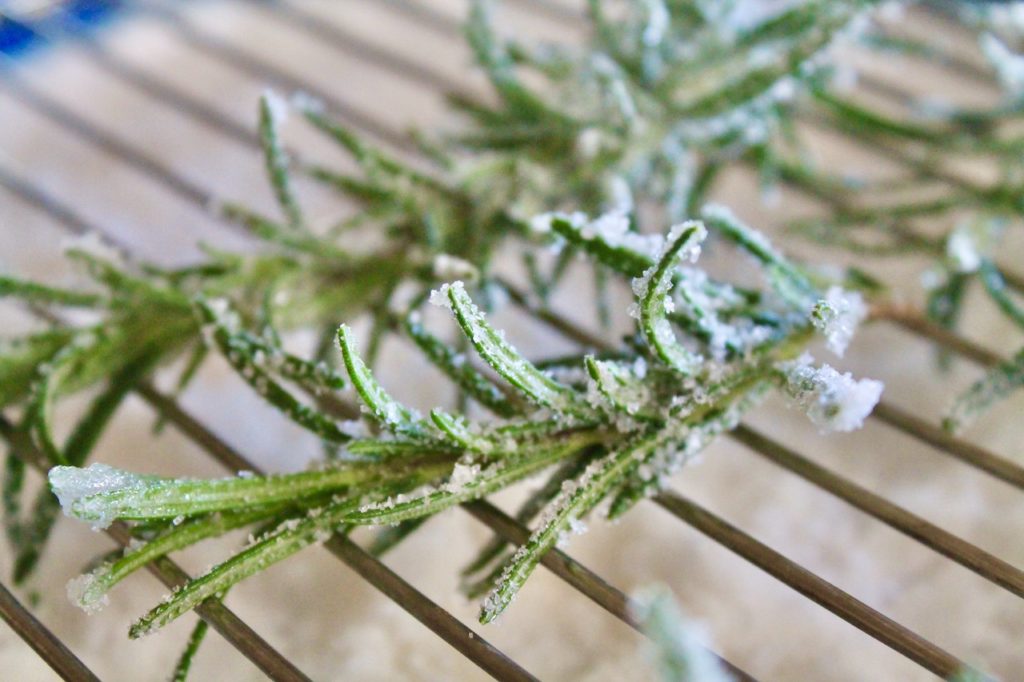 sugared rosemary garnish