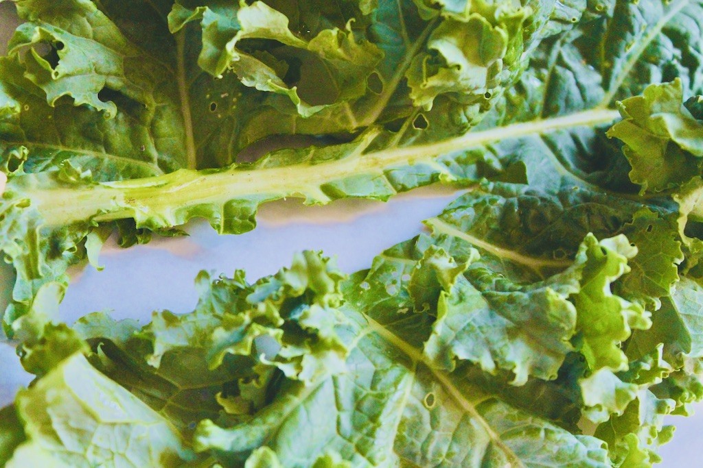 fresh kale