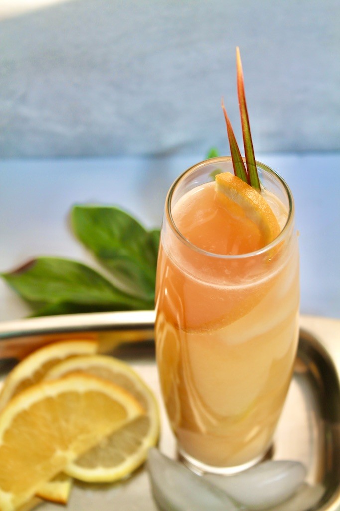 citrus rum highball cocktail