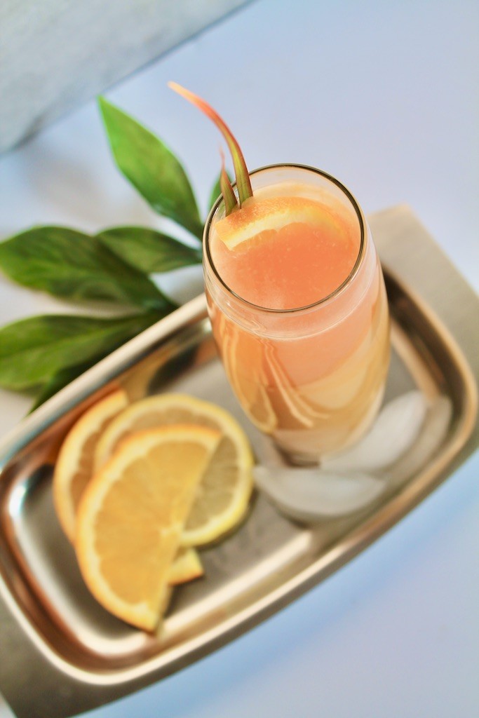 simple highball citrus cocktail