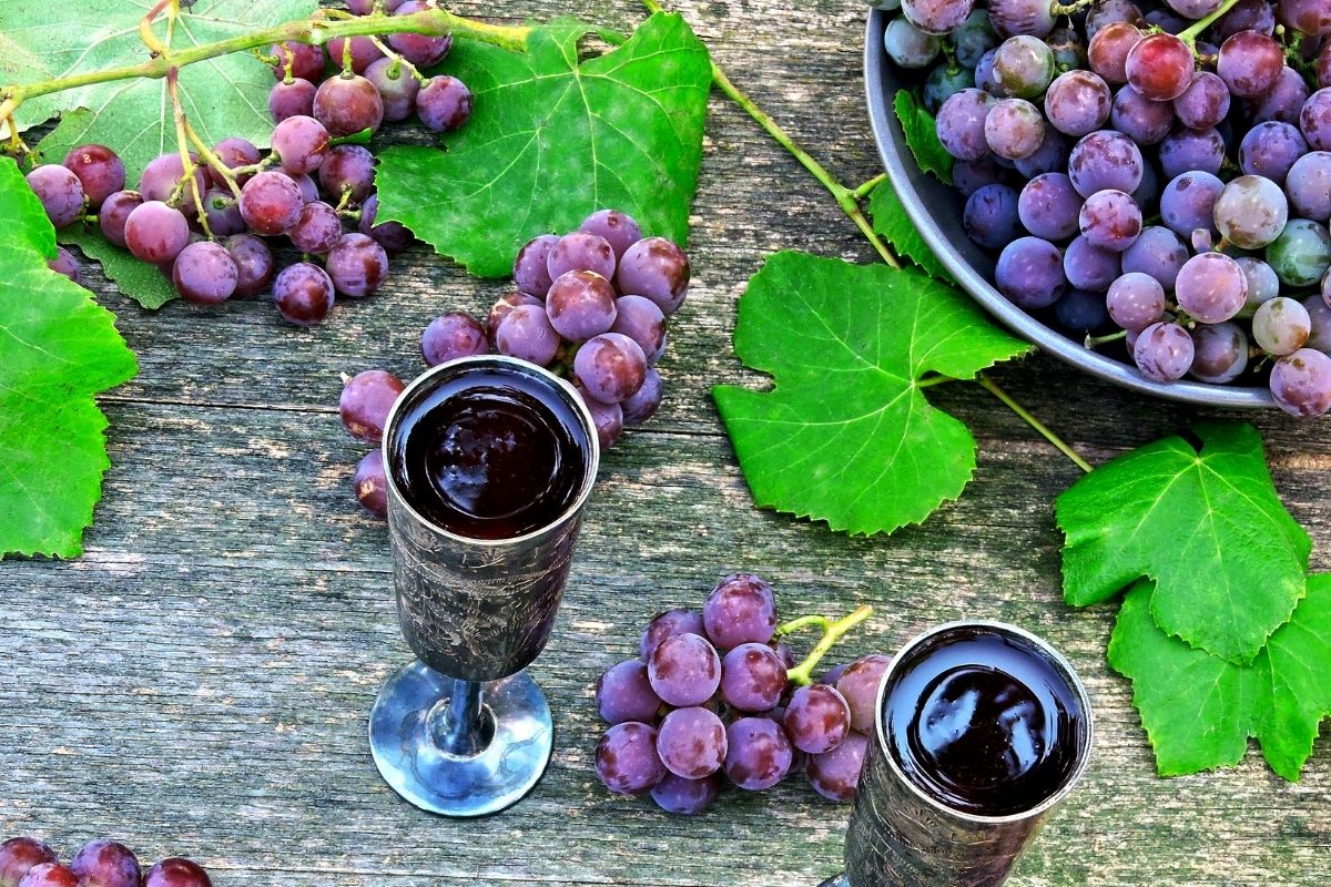 Shiraz Red Wine Health Benefits edu.svet.gob.gt