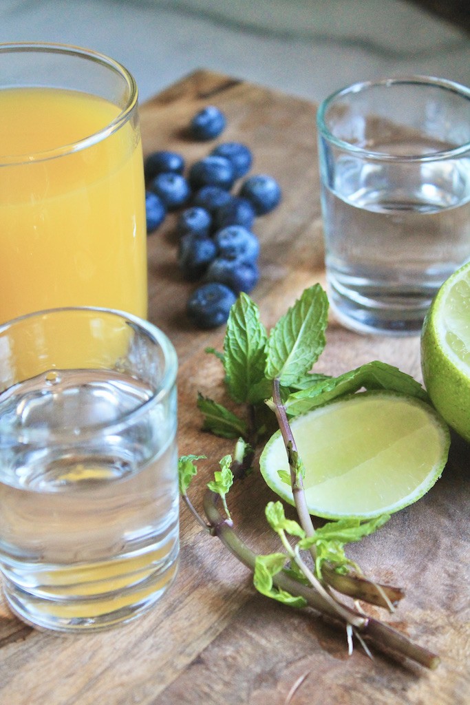 mango gin fizz ingredients