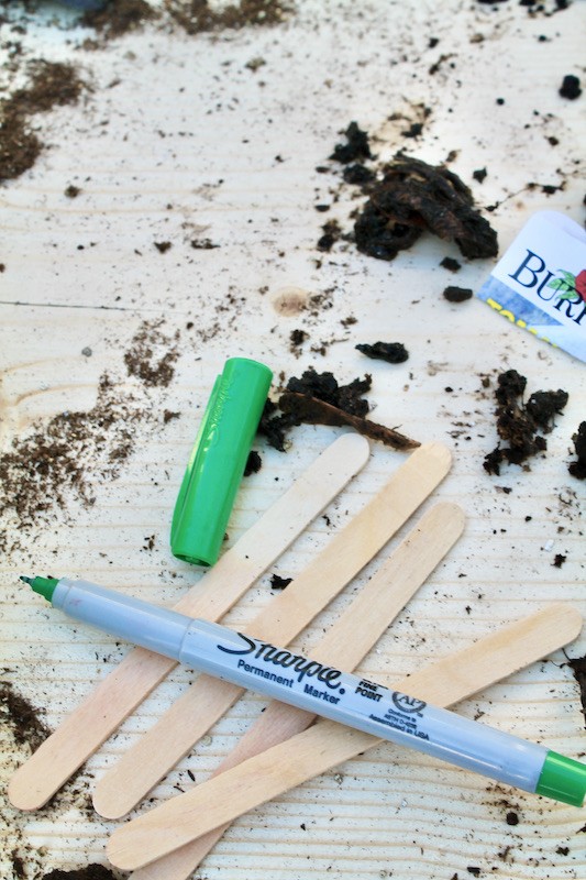 label your plants