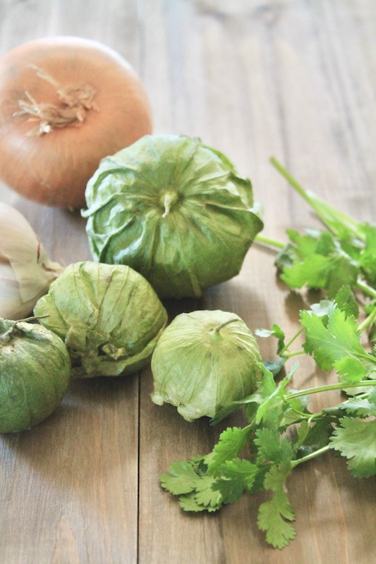 fresh onion cilantro and tomatillos