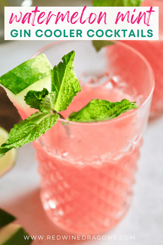 fresh watermelon summer gin cocktails