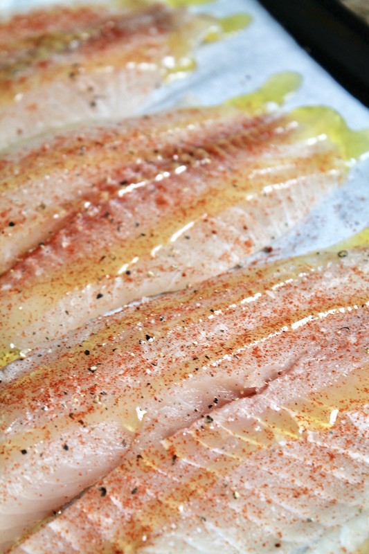 rub olive oil on your tilapia fillets
