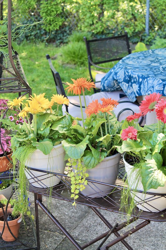 plant rack patio decor