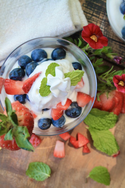 quick yogurt and fruit cups