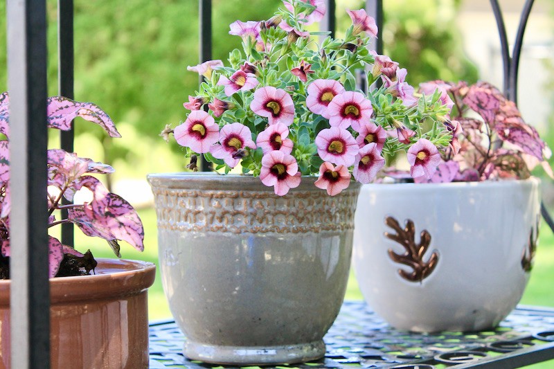 unique container gardening ideas