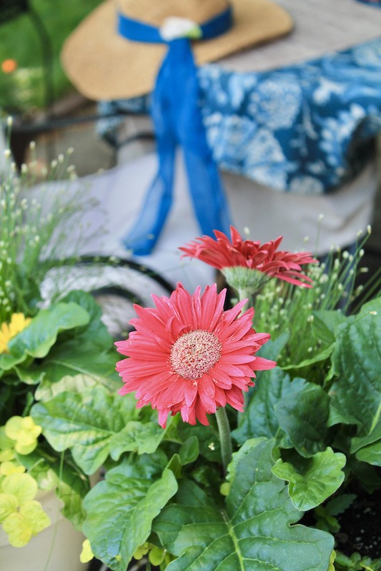 vintage antique inspired patio decor with flowers