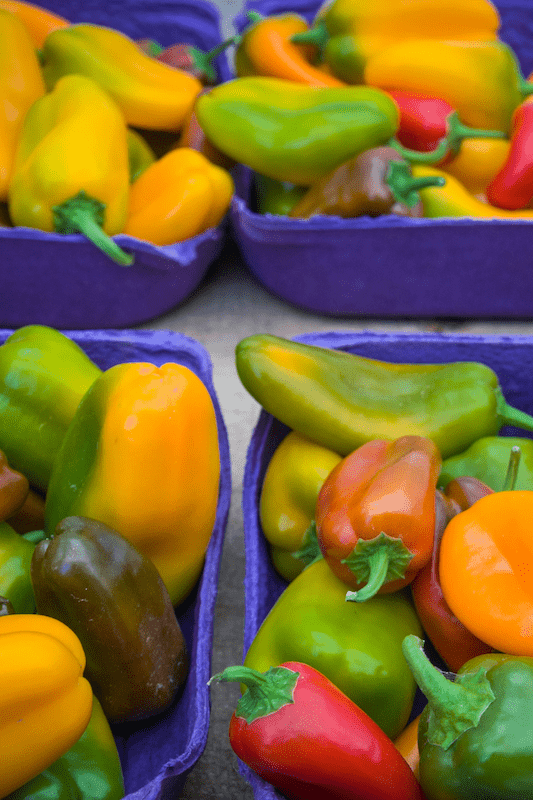 sweet mini peppers