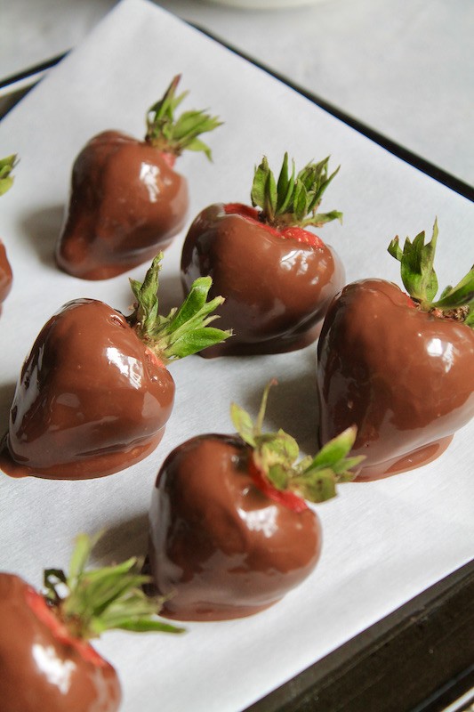 dip the strawberries in chocolate