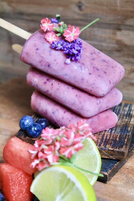 cool blueberry watermelon yogurt homemade pops