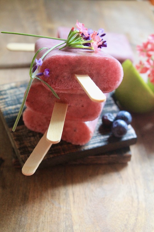 blueberry and watermelon ice yogurt pops