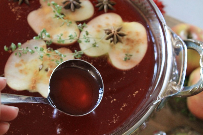 easy fall and holiday punch recipe