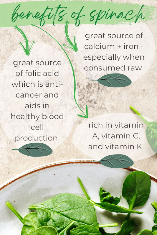 spinach green smoothie recipe