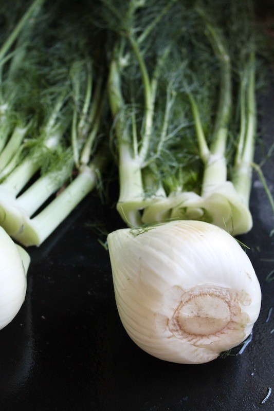 prep the fennel