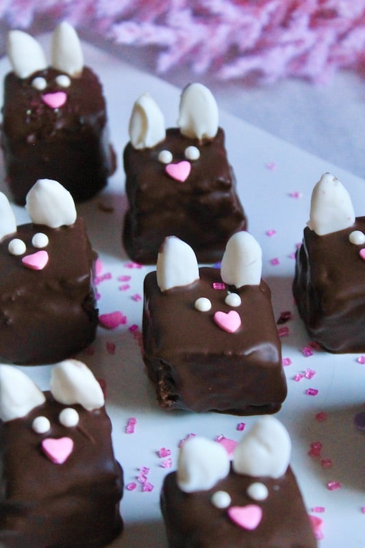 easy chocolate dipped decorated brownies