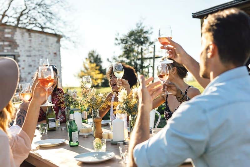 easy herbs vegetables and fruits to pair with wine from your garden
