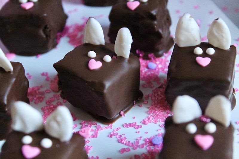 decadent chocolate covered easter brownies