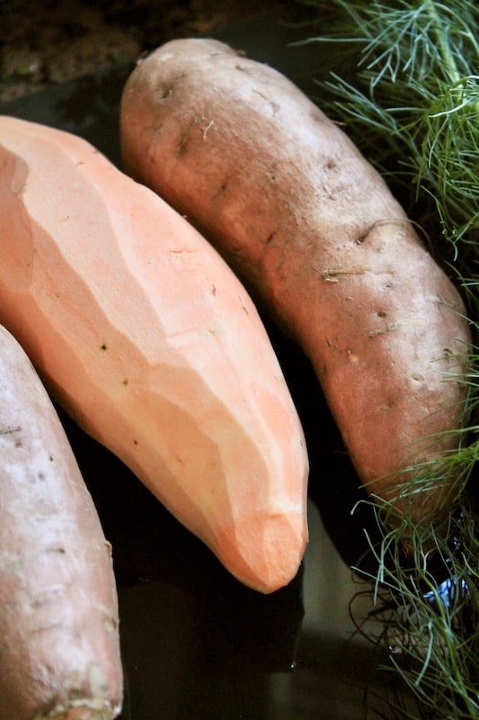 sweet potatoes with ground turkey dinner recipe