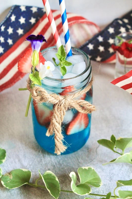 4th of July Lemonade Cocktail