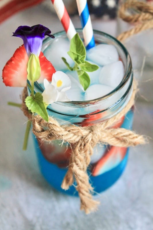 4th of July Lemonade Cocktail