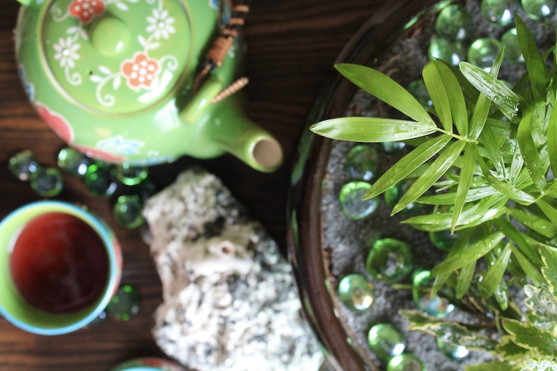 simple miniature garden ideas