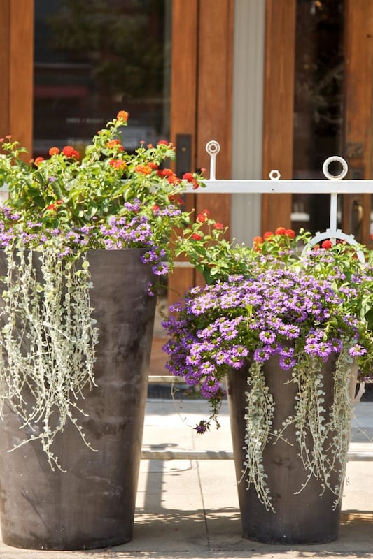 front porch planter ideas