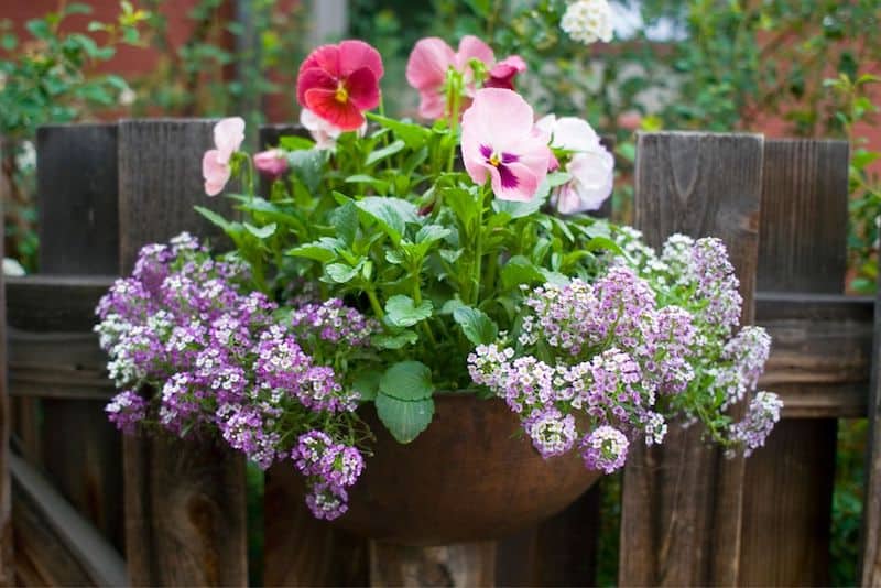 front porch planter flower container ideas