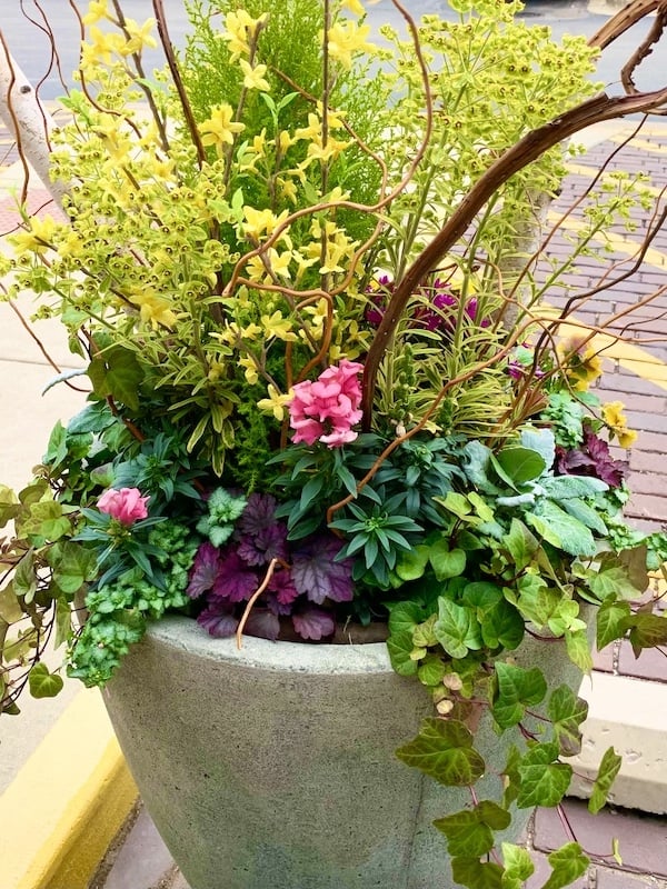 decorative branches planter front of house