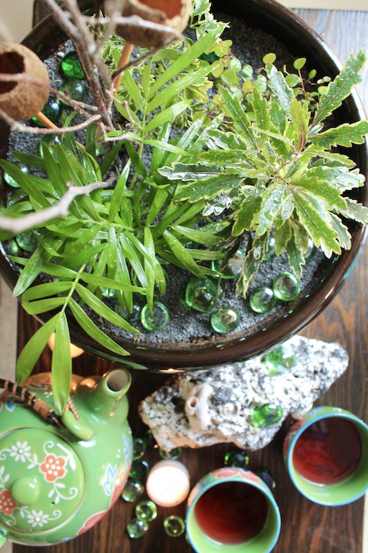 diy mini garden