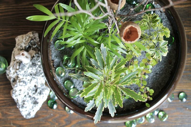 mini garden ideas