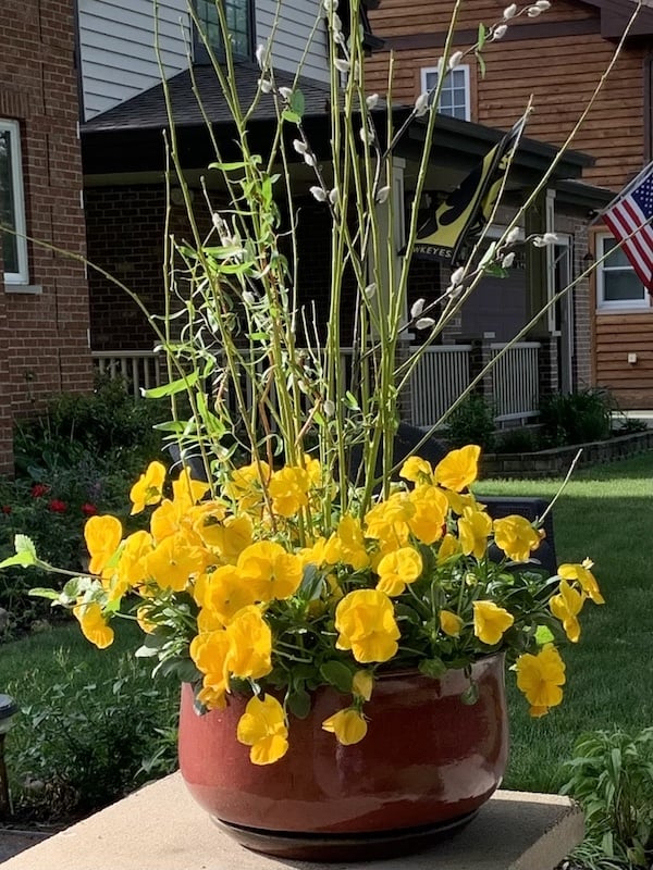 ideas for front outdoor planters