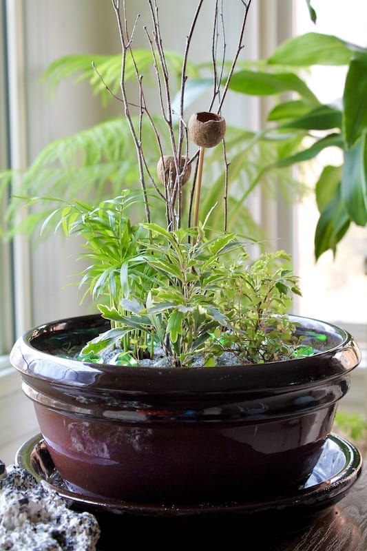 simple miniature garden ideas