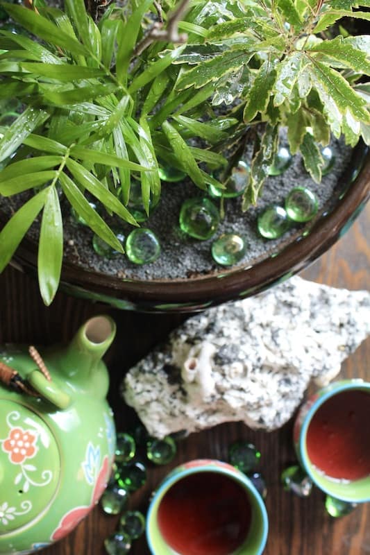 easy diy zen garden planter
