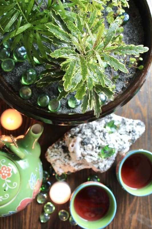 mini garden ideas