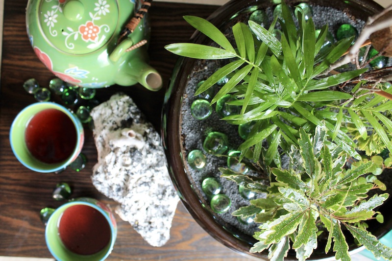 diy miniature garden ideas zen garden