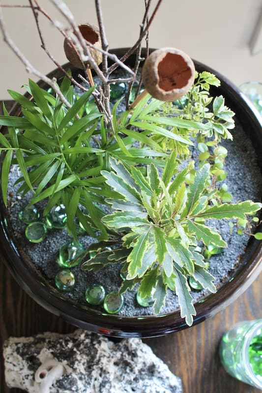 easy diy mini garden ideas