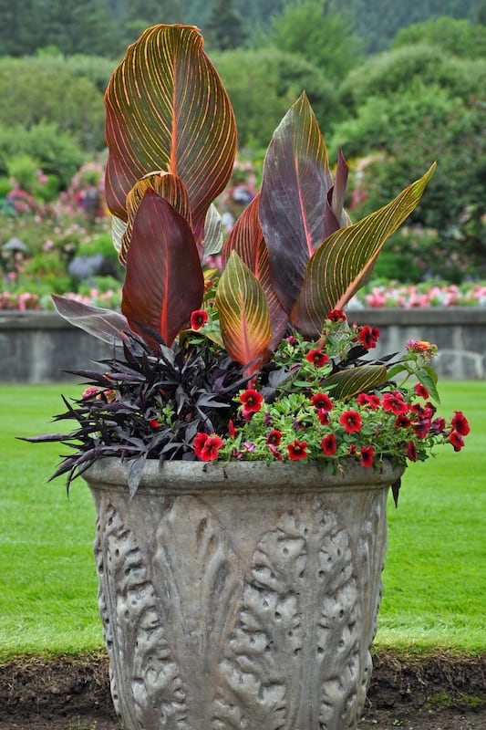 ideas for front outdoor planters