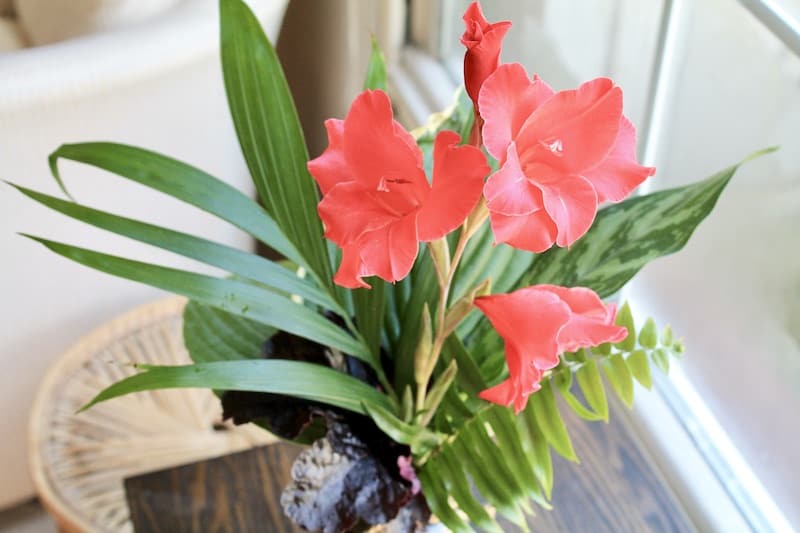 tropical gladiolus flower arrangement