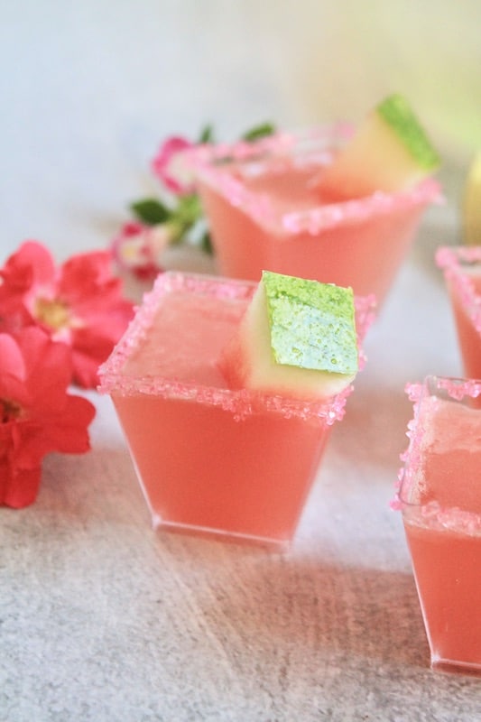 easy watermelon shot recipe