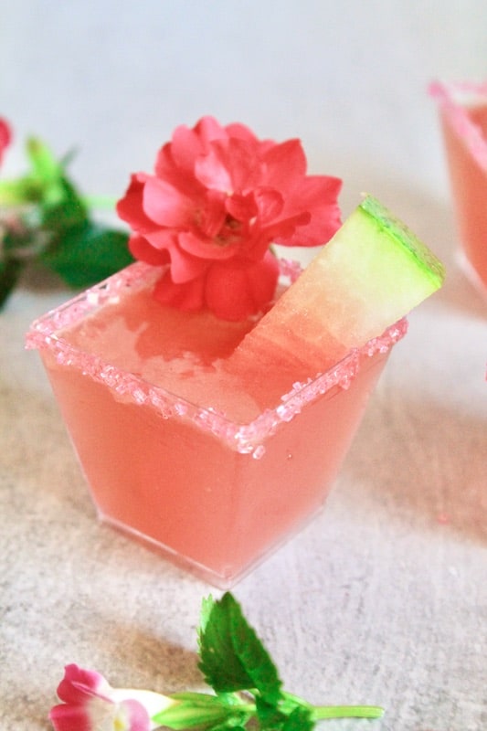 easy watermelon shooters