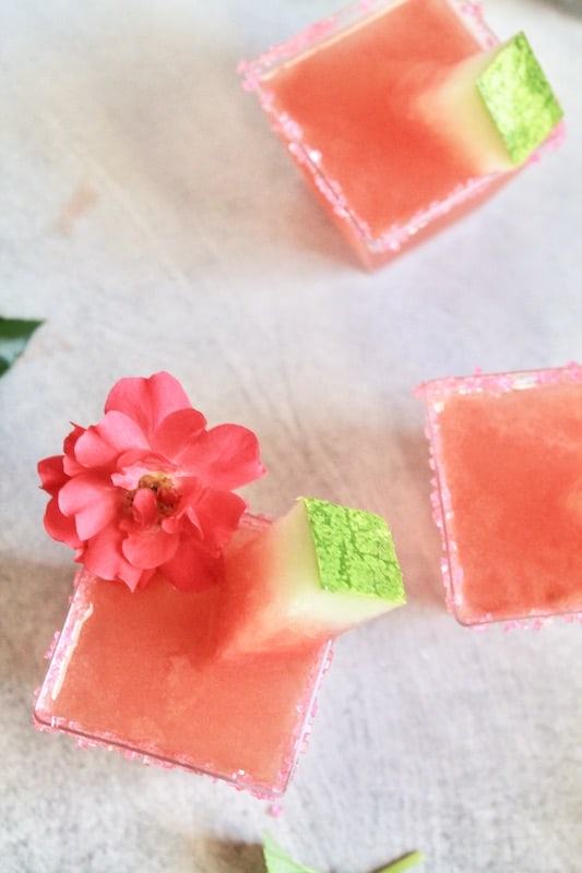 fresh watermelon shots