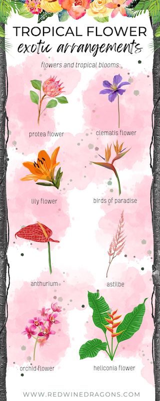 tropical flower list for flower arrangements